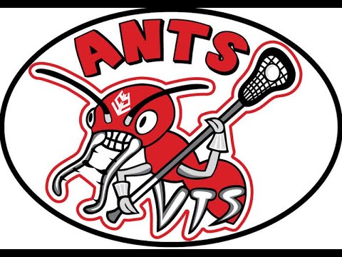 Ants practice in quarantine (March 2020)