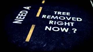 preview picture of video '24 Hour Emergency Tree Removal Portland OR | (503) 208-7992'