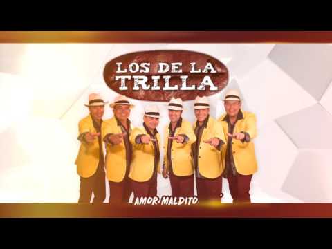 Los De La Trilla - Amor Maldito [Audio]