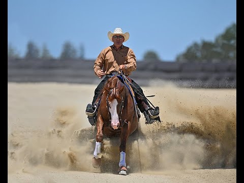 Which horse will slide Andrea Fappani to first TRFAM Championship? - 2023 Run For A Million Preview