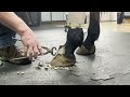 MAJOR Hoof Injury REPAIR Featuring Steve Sermersheim CJF TE AWCF And Jasper Dunn