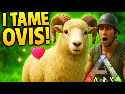 How to Tame OVIS in ARK Mobile Ultimate Edition 🐑 | Rare Dino Location + Sweet Veggie Cake Guide