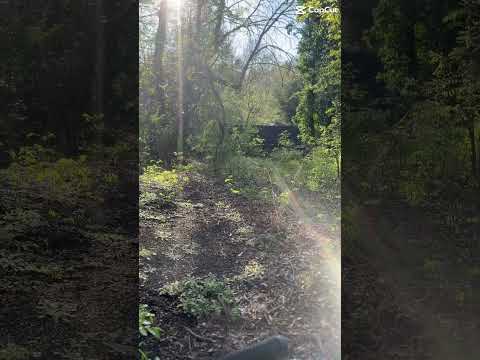 615 Dumaine St #H - Video 6 of 6