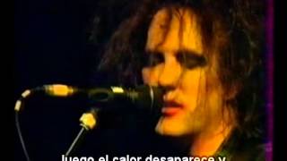 the cure  fire in cairo live 93 subtitulada