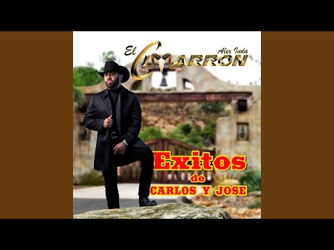 Concha Querida (Norteño)