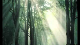 Manau Le Chant des Druides