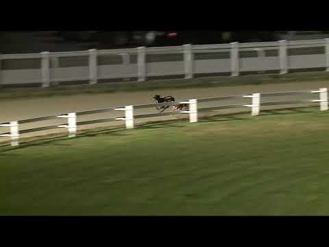 2021.07.02. 06. futam - Kincsem Park Magyar Derby Consolation