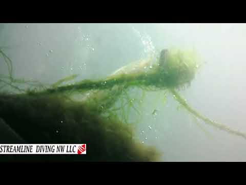 Nena Marie Bernet 9 5 24