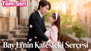 Çılgın CEO hafızasız eşini zorla aldı; eski sevgili evliliği yıktı. Koca ne saklıyor?