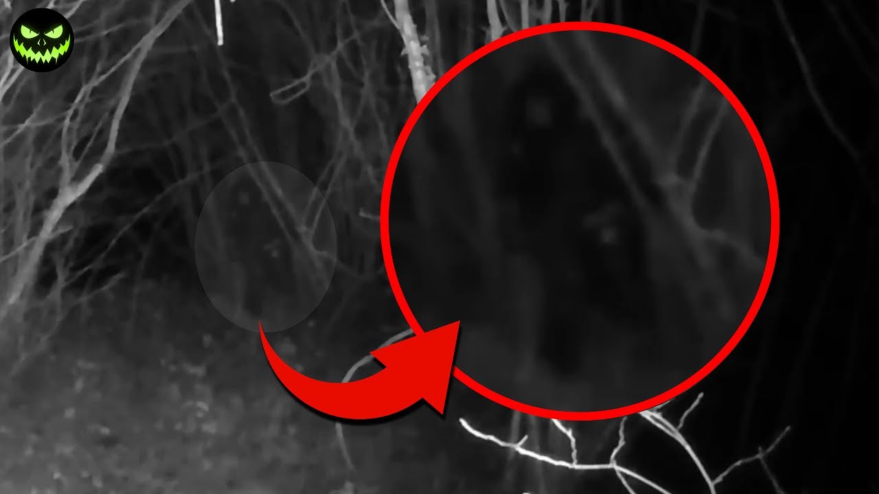 5 Disturbing and Dangerous Encounters Experienced by YouTubers While Camping!