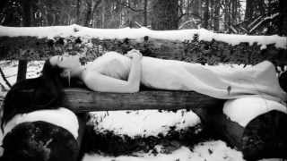 Dreadful Shadows - Twist In My Sobriety