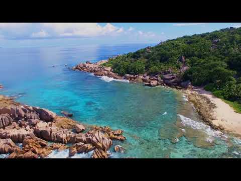 SkiDropz - Calypso (OUT NOW)