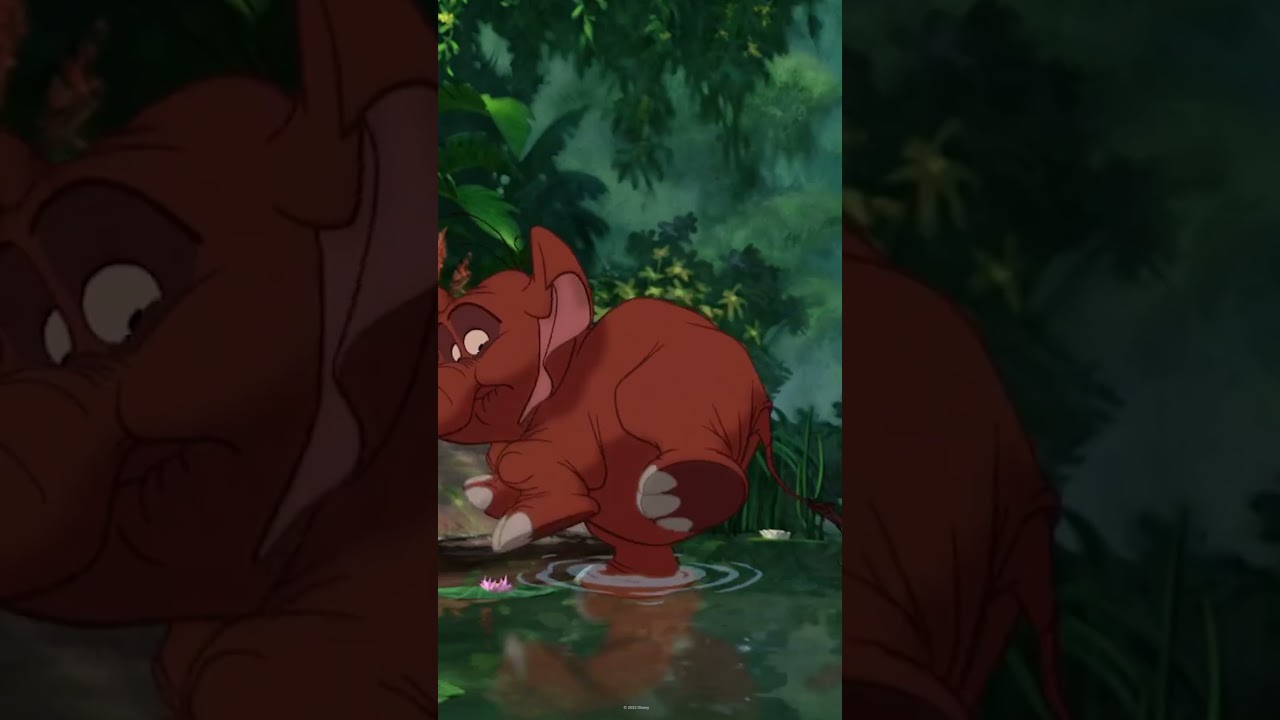 Tantor: 