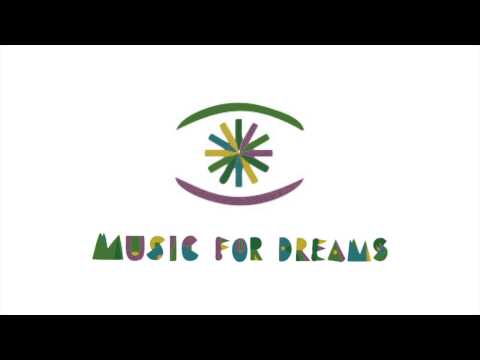 DJ Pippi, Sandro S  and Lostrocket - NoPiano (Original Mix) (Snippet)