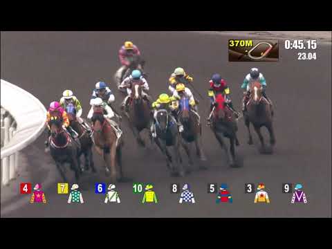 17/4/2021 (599) Flying Bonus - Alfred Chan