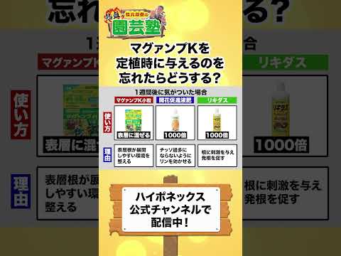 園芸 アジアンテイストの菜園