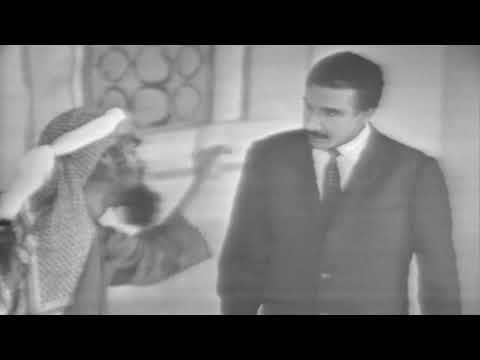 نعجة في المحكمه