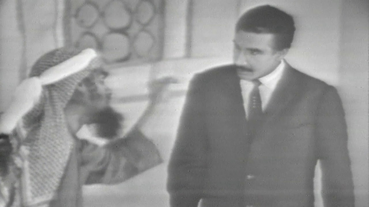 نعجة في المحكمه