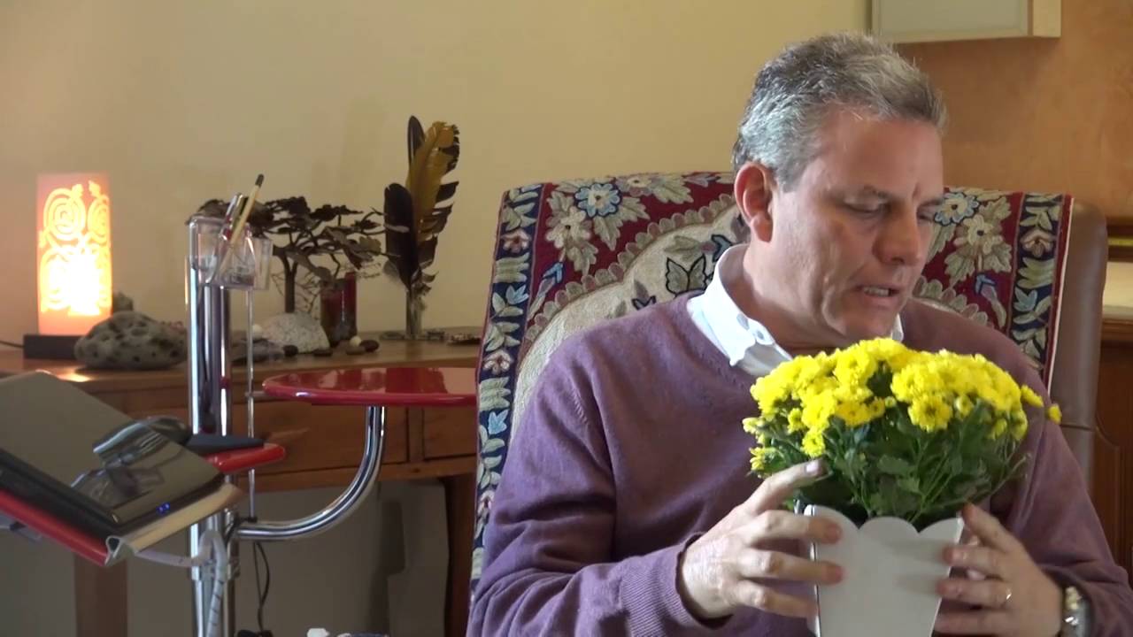 Fenomenologia de Goethe - Antroposofia Aplicada à Saúde