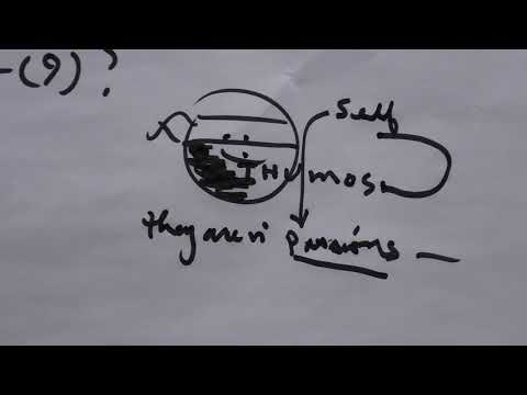 2019-06-21 NSFRI - Homer - Iliad (Book 9) - Gem of the Self: The Ten Autos in Phoenix's Speech