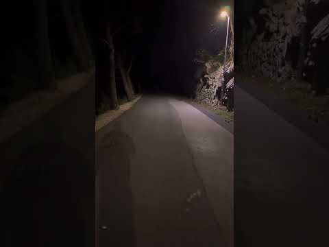 Snimio čudovište u šumi 😱