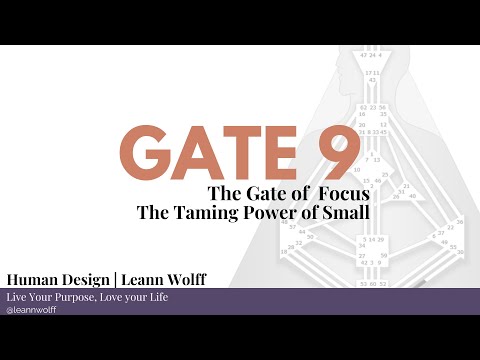 Human Design - Gate 9