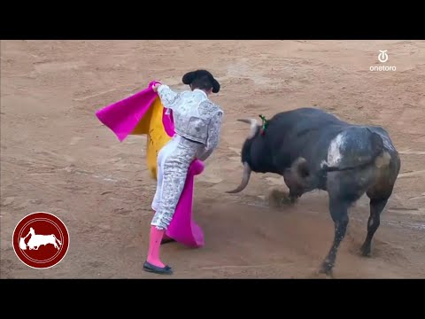 SAN FERMÍN 2025 -10ma de feria | Brindis de Damián Castaño en el 5to toro de la tarde -14/07/25
