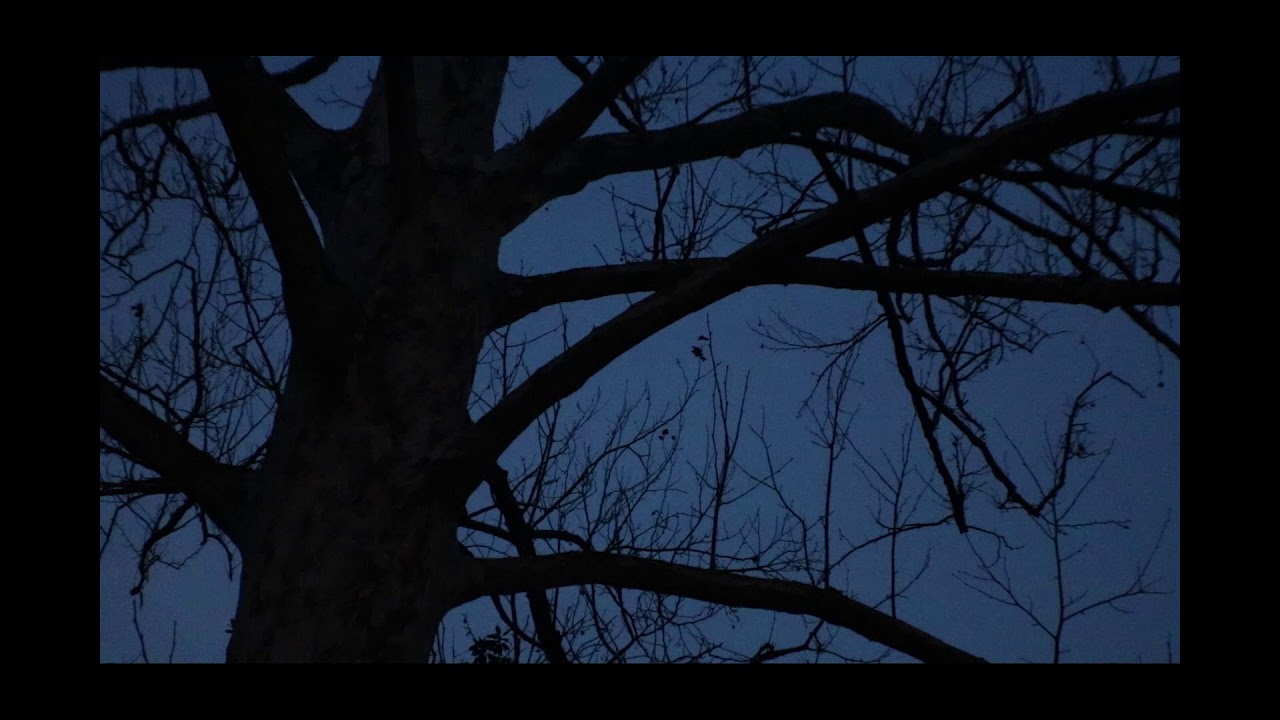 Ode to Big Booty Bitches