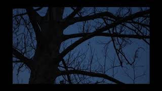 Ode to Big Booty Bitches