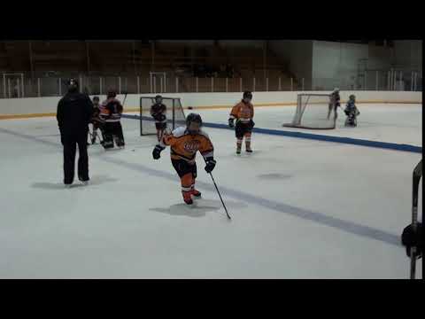 Miniturnaus Kurra 08 - Kookoo 08   12/17