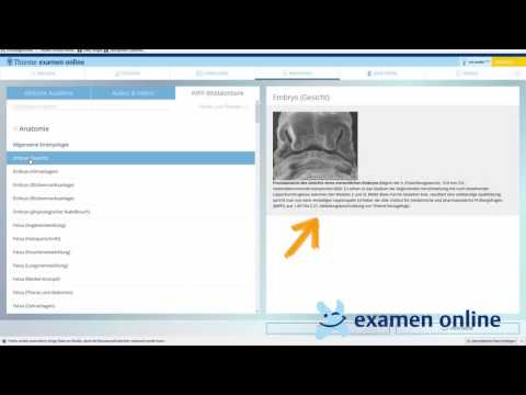 IMPP-Bilddatenbank für die Vorklinik