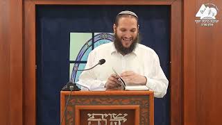 השתוקקות ועמל בלימוד תורה | הרב שחר אימבר | שיחות התחזקות | 31 (ישיבת ברכת יוסף - אלון מורה) - התמונה מוצגת ישירות מתוך אתר האינטרנט יוטיוב. זכויות היוצרים בתמונה שייכות ליוצרה. קישור קרדיט למקור התוכן נמצא בתוך דף הסרטון השתוקקות ועמל בלימוד תורה | הרב שחר אימבר | שיחות התחזקות | 31 (ישיבת ברכת יוסף - אלון מורה) - התמונה מוצגת ישירות מתוך אתר האינטרנט יוטיוב. זכויות היוצרים בתמונה שייכות ליוצרה. קישור קרדיט למקור התוכן נמצא בתוך דף הסרטון