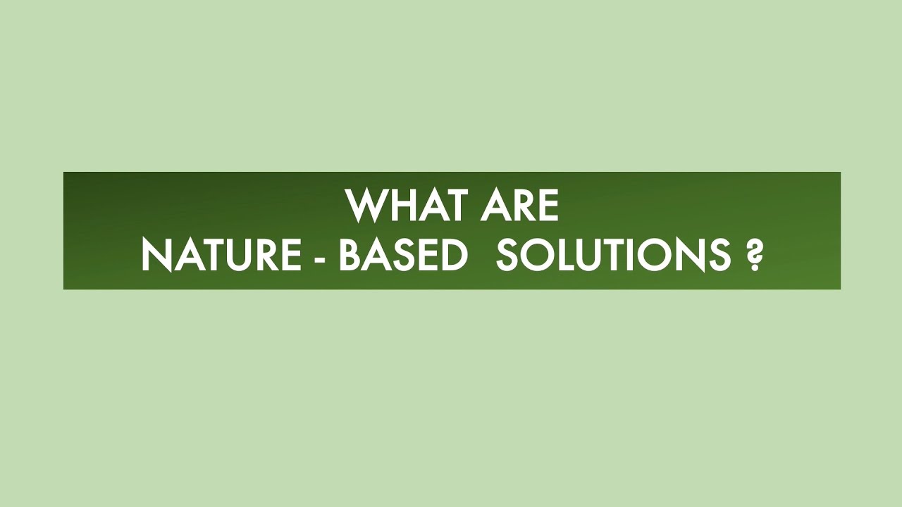 What are Nature-based Solutions?