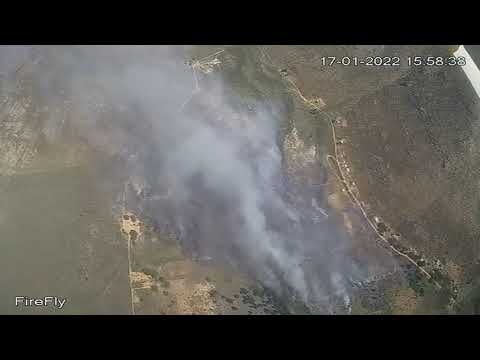 West Coast fire crews tackle vegetation fire