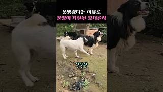 못생겼다고 분양도 거절당했다고?