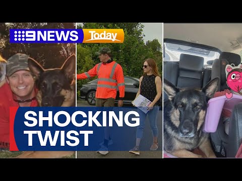 Police charge owner over the death of missing Queensland dog | 9 News Australia
