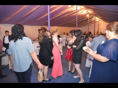 15 Program manele nunta la cort