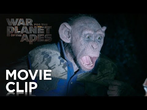 War for the Planet of the Apes (Clip 'Bad Ape and Maurice')