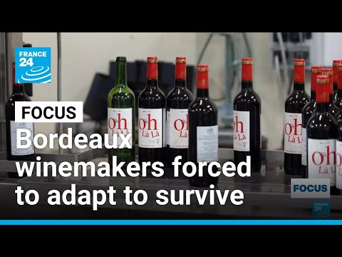Winemakers of France's Bordeaux region forced to adapt to survive • FRANCE 24 English