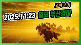 2025년 11월 23일 일요 부산경마 전체경주 모아보기