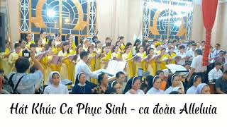 Majesty (Hát Khúc Ca Phục Sinh)_ Michael W.Smith/Anh Tân _ TB: Ca đoàn Alleluia, GX Phao Lô, GP. SG