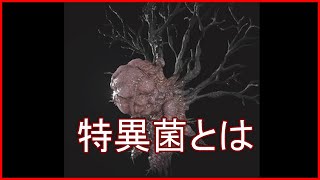 【ホラー解説】　特異菌について分かりやすく解説
