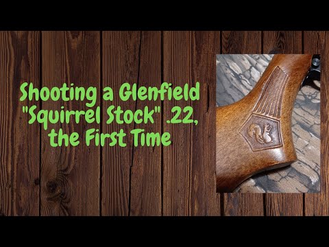 Shooting a Glenfield "Squirrel Stock" .22 the First Time