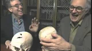 Psyc 104 Week 1 - Phineas Gage