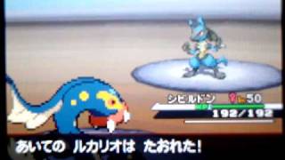 シビルドン ポケットモンスター シャンデラ ツボツボ ミミッキュ