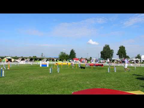 EO 2014 Team jumping Exy