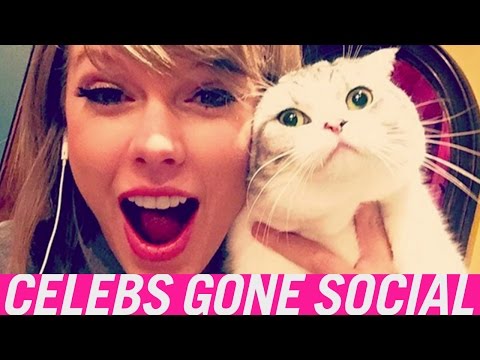 Top 5 Times We Wished We Were Taylor Swift's Cats