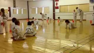 preview picture of video 'Shadow Warriors Tae Kwon Do | Stony Plain'