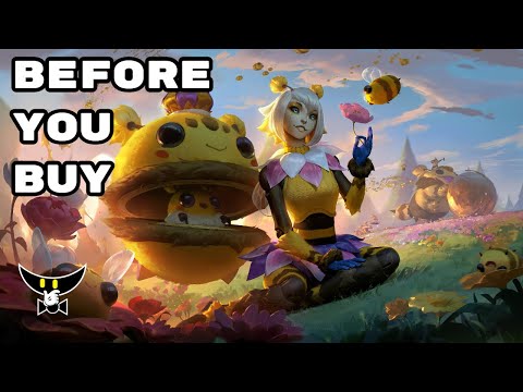 Before You Buy Orbeeanna