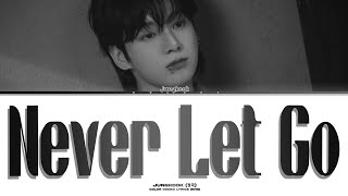 Download lagu JUNGKOOK 'Never Let Go' Lyrics (정국 'Never Let Go' 가사) Color Coded mp3 Download lagu JUNGKOOK 'Never Let Go' Lyrics (정국 'Never Let Go' 가사) Color Coded mp3